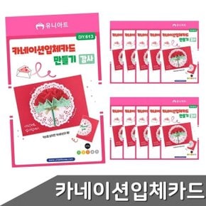 카네이션 입체 10개입 어버이날 만들기 카드 (WF72D00)