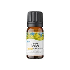 화이트볼 6P + 패브릭퍼퓸 10ml 1개입 (일랑일랑)