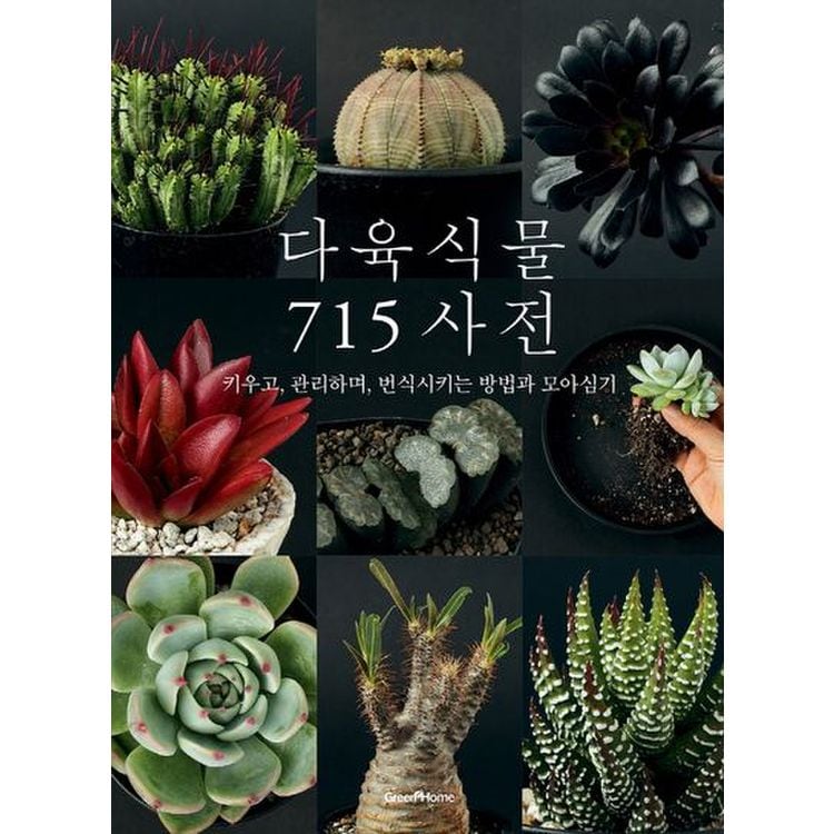 다육식물 715 사전, 이마트몰, 당신과 가장 가까운 이마트