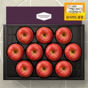 라라르떼 [명절이후 순차출고][산지직송] 가든 3호 과일 선물세트 사과 대과 10-13입 5kg (보자기 포장)