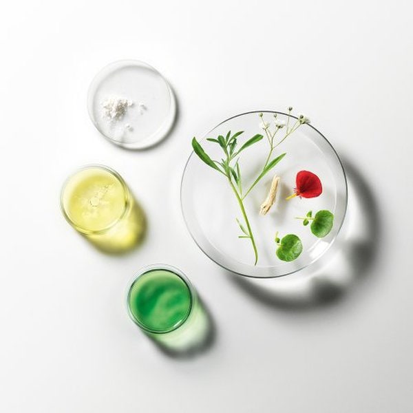 트리파직 프로 두피 앰플(5.5ml*8ea)(+랜덤 50mlX3 증정)