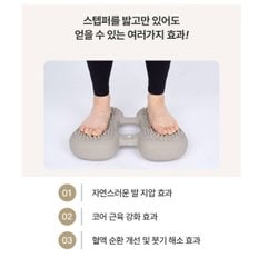 소프트 에어 마사지 스텝퍼 발바닥지압 밸런스쿠션 발목강화 계단 운동 기구