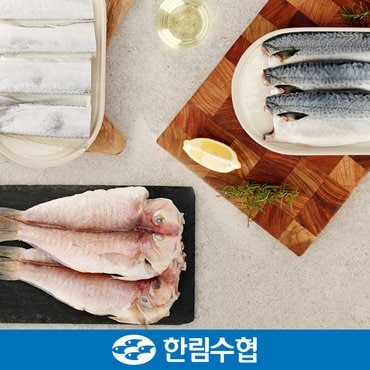 한림수협 [제주 한림수협] 제주 갈치3미(1미당 300g)+제주 옥돔3미(1미당 180g)+순살 고등어10팩(1팩당 120g) 혼합세트+부직포가방 증정국내산_냉동비축품