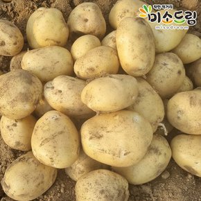 [미소드림] 강원도 맛있는 햇감자 여름감자 조풍감자 5kg(왕왕)