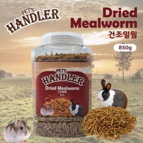 펫츠핸들러 소동물 영양간식 건조밀웜 수퍼사이즈 점보 850g