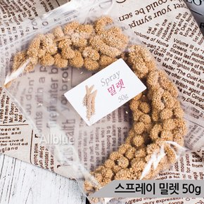 맛있는 천연알곡 밀렛 50g 앵무새 햄스터 소동물간식