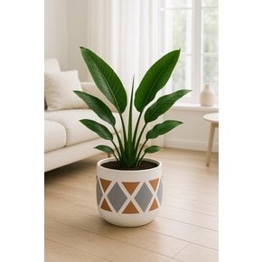 아트 패턴 원형 시멘트 화분 exotic chevron