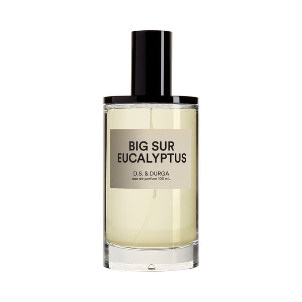 빅 서 유칼립투스 오 드 퍼퓸 100ml CR14936000500