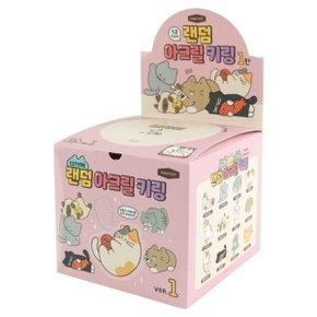 냥냥 랜덤 아크릴 키링 24개(박스) 키홀더