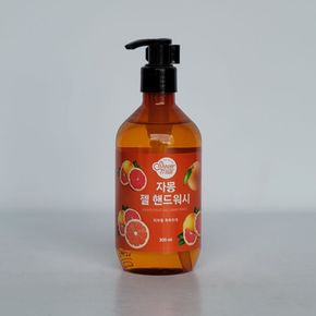 애경 샤워메이트 핸드워시300ml