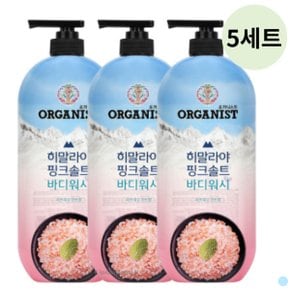 히말라야 핑크솔트 바디워시 민트향 900ml 15개