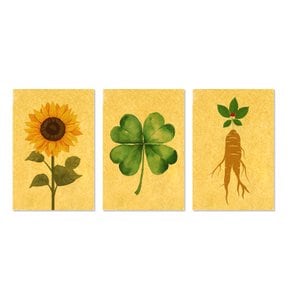 순금 24K 행운 그림 황금 엽서
