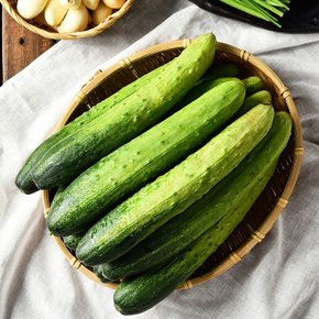 [박참봉반찬가게]백다다기오이 2kg 8~14개입
