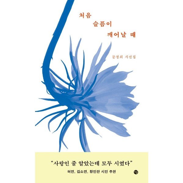 확대된 대표 http://biblio.booxen.com/IMG544/97911/8162/9791158162269_R600.jpg