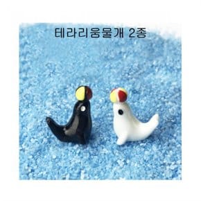 테라리움물개블랙_P086514741