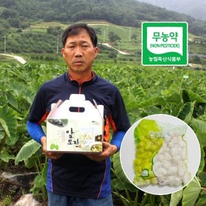 죽곡토란 곡성 무농약 깐토란 1kg /