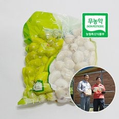 곡성 무농약 깐토란 1kg / 햇토란 출하 9월2일부터 순차 출고