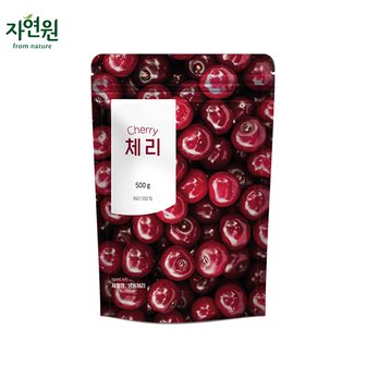 웰팜 [자연원] 냉동 체리  500g x 1팩