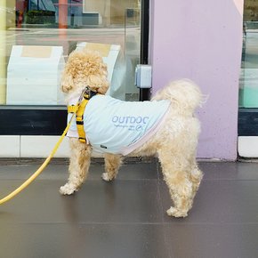 데일리 강아지옷 티셔츠 애견의류 고양이 옷