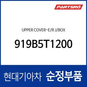 어퍼 커버-엔진룸 정션 박스 (919B5T1200) 더올뉴 G80 현대모비스부품몰