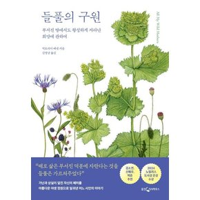 들풀의 구원 : 부서진 땅에서도 왕성하게 자라난 희망에 관하여