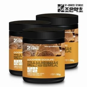 국산 상황버섯 분말 가루 50g x 3