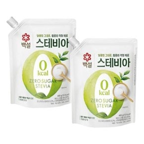 백설 스테비아 400g x2개