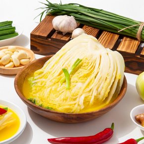 [더조은] 햇살담은 국내산 단호박 백김치 1.5kg