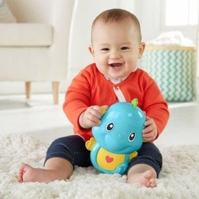 피셔프라이스 3-in-1 달래기  플레이 해마 모바일 유아 아기 장난감