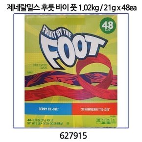 제네랄밀스 후룻 바이 풋 1.02kg / 21g x 48ea 코스트코 627915