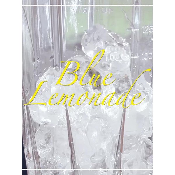 메가믹스 초고속블렌더 BHSB-2850CM