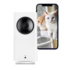 Cam Pan v2 HD 알렉사 (360도 촬영) 보안 카메라, 애완 동물 카메라, 네트워크 카메라, 풀 컬러