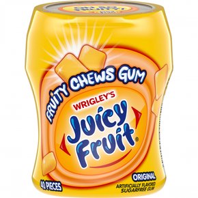 Juicy  Fruit  JUICY  FRUIT  프루티  츄  오리지널  무설탕  껌  40피스  병