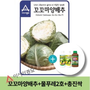 아시아종묘 양배추씨앗종자 꼬꼬마양배추(100립)+대유 물푸레 2호+총진싹(500ml) 세트