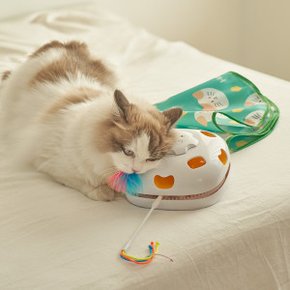 꼬리잡기 고양이 자동 장난감 회전 깃털 펫토이