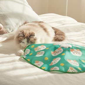 꼬리잡기 고양이 자동 장난감 회전 깃털 펫토이