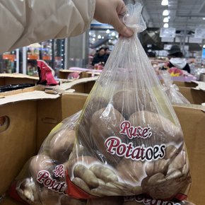 코스트코 러셋 감자 3kg / 더 포슬포슬한 감자