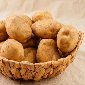 국내산 설봉감자  특 3kg