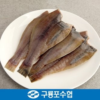 구룡포수협 반건조 참가자미 1kg(10미 전후)