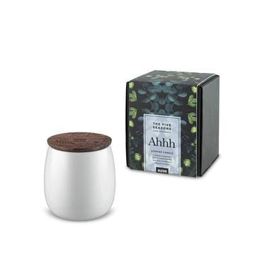 알래시 알레시 더파이브시즌 캔들 250g_Ahhh 봄 // MW62S 2 W
