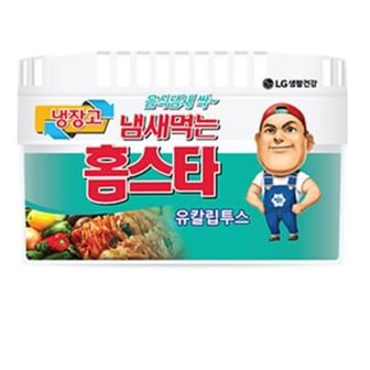 신세계 규격 LG 냄새먹는 홈스타 냉장고 유칼립투스 420g(1개)