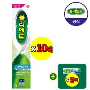 의치 부착재 무향 70g 10개+샘플 5개