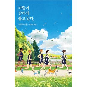 바람이 강하게 불고 있다