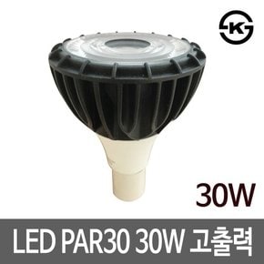 디앤앤 LED PAR30 30W LED할로겐 LED전구 매장조명