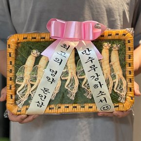 인삼 반전 용돈 이벤트 박스 [산삼 부모님 현금 돈 선물 어버이날 생일 생신 환갑 칠순 남편]