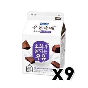 매일 우유속에코코아 락토프리 팩우유 300ml x 9개