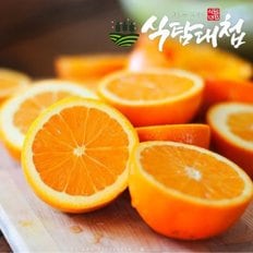  식탐대첩 고당도 네이블 오렌지 중과10개 약2kg