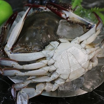 자연맛남 [벌크맛남] 선별100% 벌크 급냉 숫꽃게 총10kg 중(게장/해물찜/탕용)