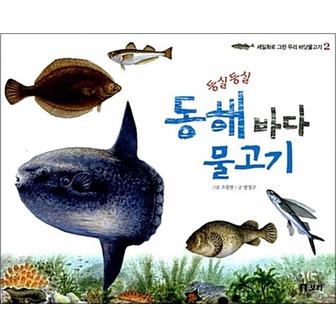 제이북스 둥실둥실 동해 바다 물고기 - 세밀화로 그린 우리 바닷물고기 2