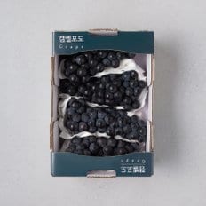 유명산지 캠벨 포도 1.5kg (박스)